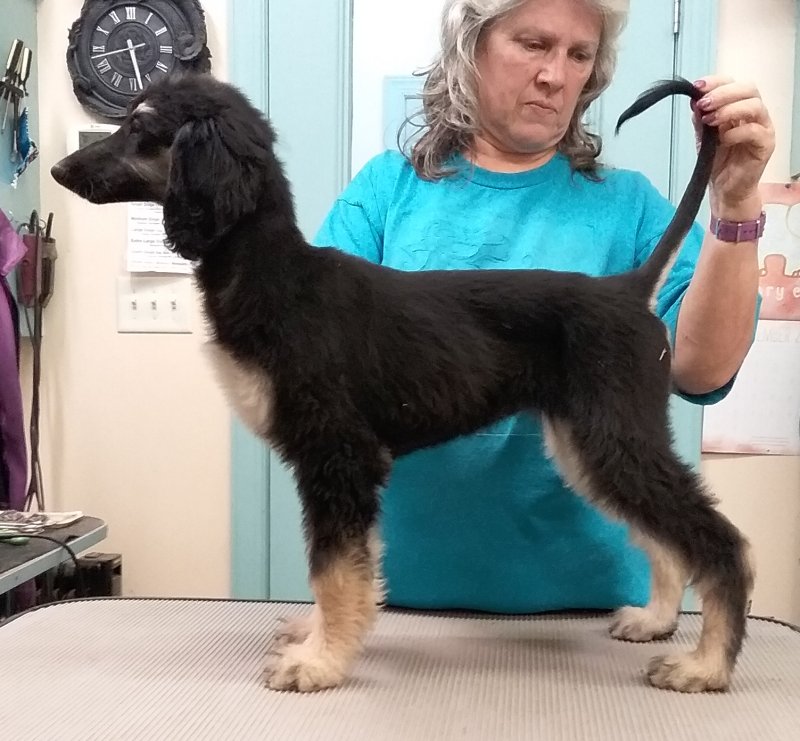 Lizzy 12 Weeks.jpg - 1736 K